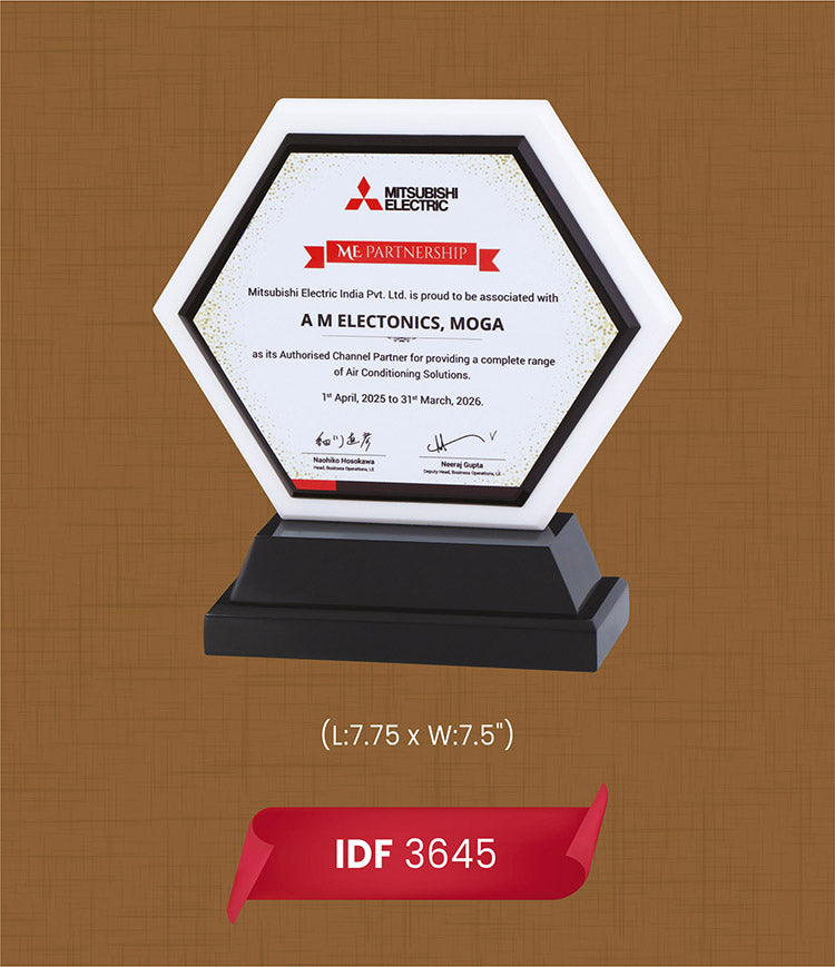 Acrylic Trophies